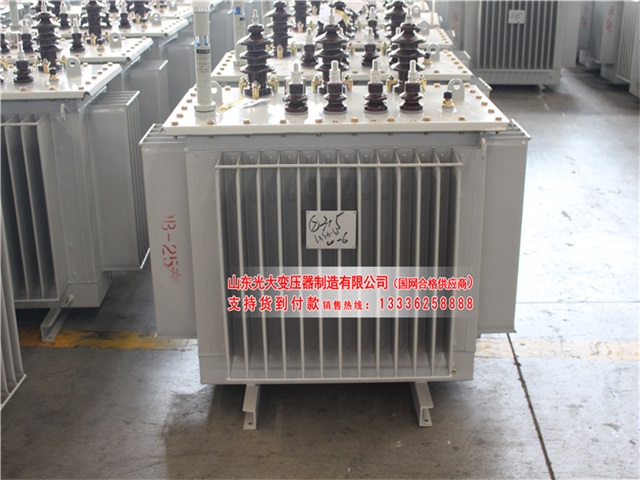 荔浦S13-1250KVA油浸式变压器